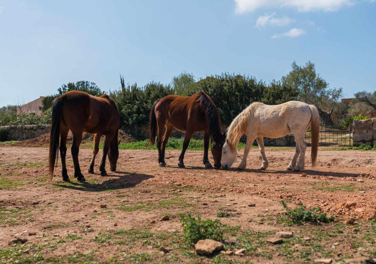 Agroturismo Sa Canoveta Colonia de Sant Jordi Kültér fotó